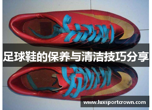 足球鞋的保养与清洁技巧分享
